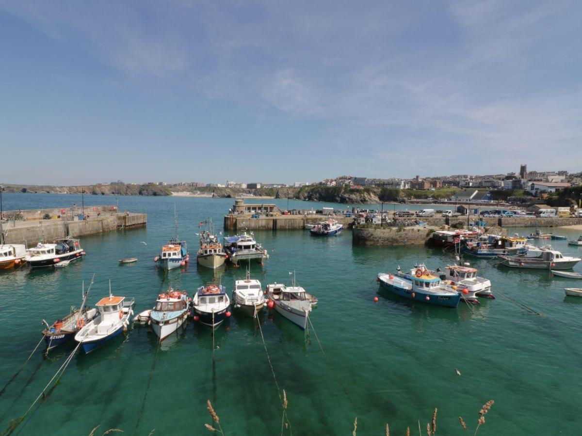 Flat 4 Appartement New Quay Buitenkant foto