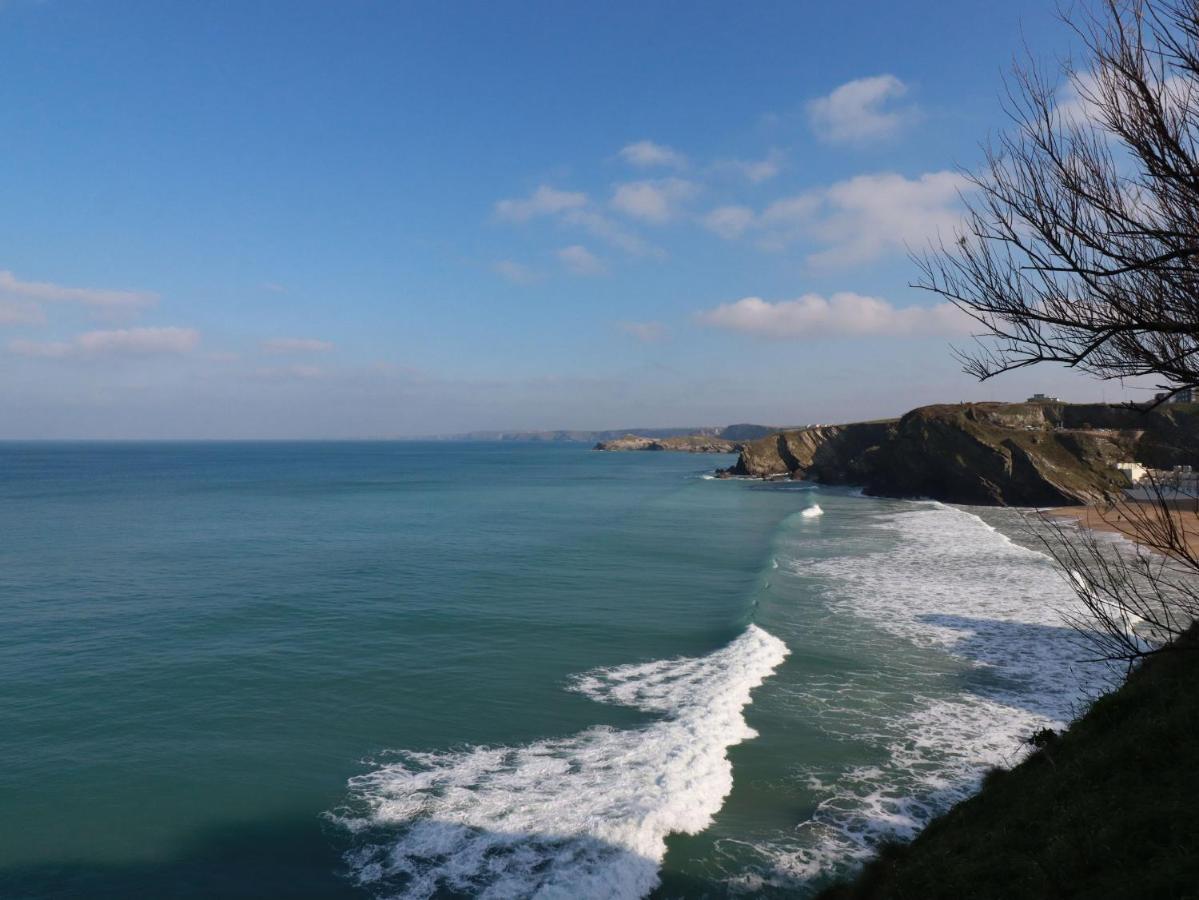 Flat 4 Appartement New Quay Buitenkant foto